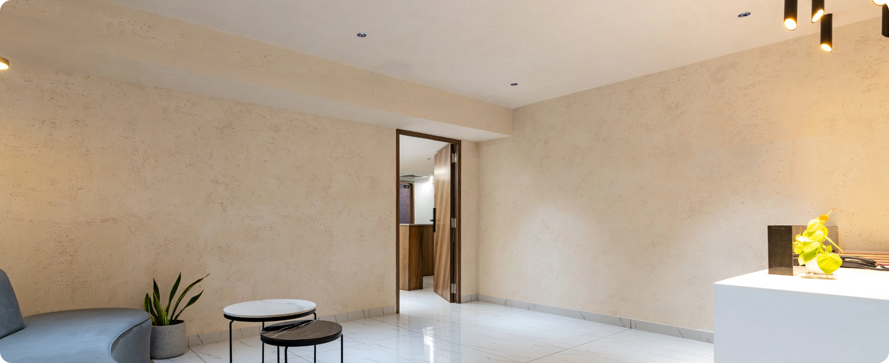 From Traditional Walls  to Trendsetters: Transform Your Walls with Venetian Plaster Finishes